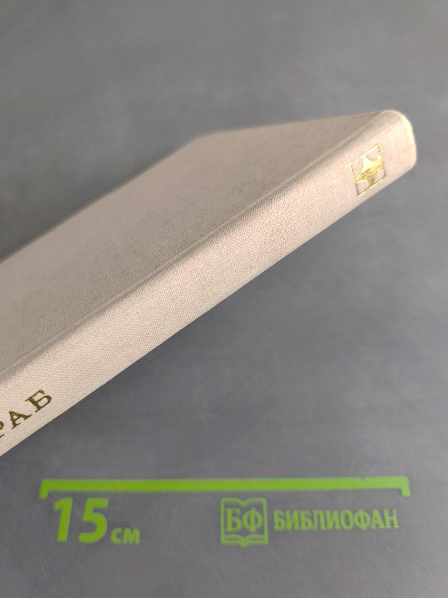 Книга о русском языке. Избранные статьи, очерки и заметки