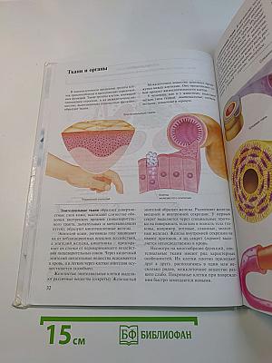 Биология. Человек. 8 класс