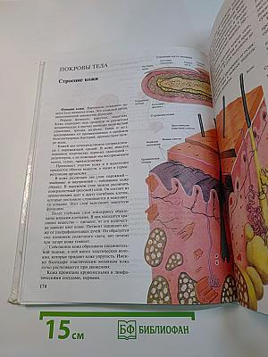 Биология. Человек. 8 класс