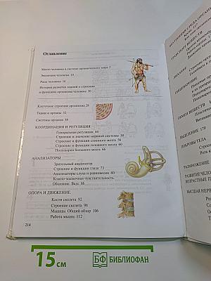 Биология. Человек. 8 класс