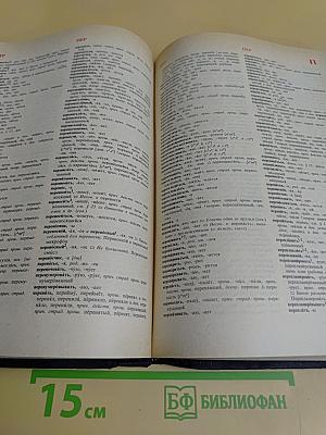Орфоэпический словарь русского языка. Произношение, ударение, грамматические формы