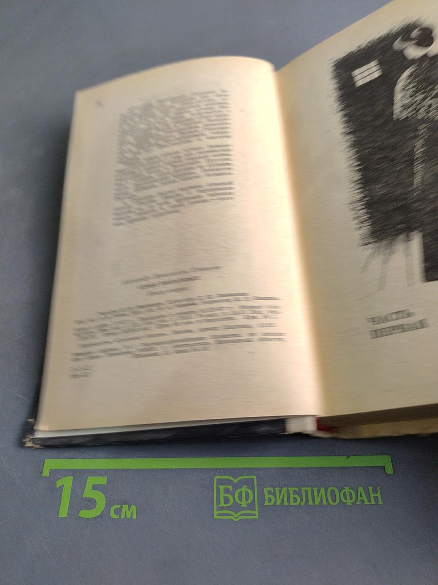 Семья Звонаревых. Книга вторая