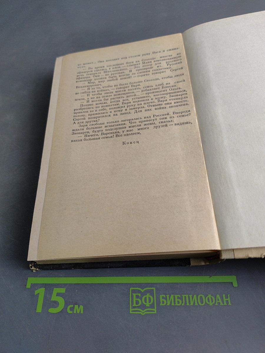 Семья Звонаревых. Книга вторая