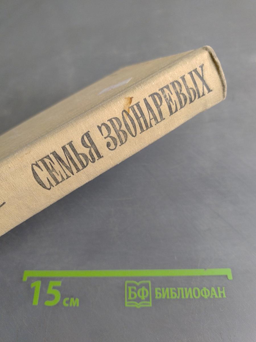 Семья Звонаревых. Книга вторая