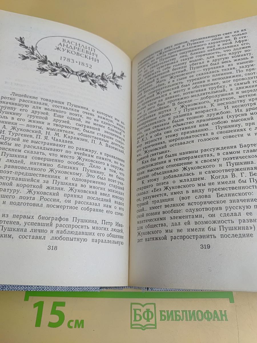 Друзья Пушкина. Переписка. Воспоминания. Дневники. Том 1