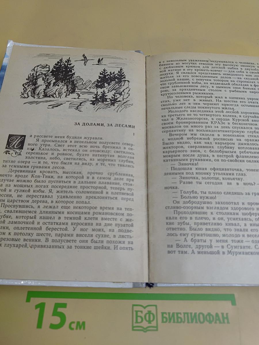 Уватские шлемоносцы