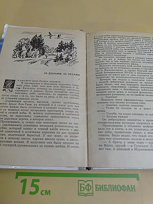 Уватские шлемоносцы
