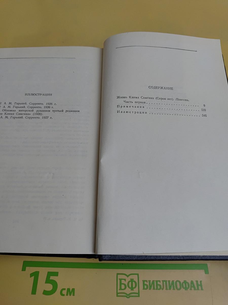 Собрание сочинений в тридцати томах. Том 19. Жизнь Клима Самгина. Часть первая