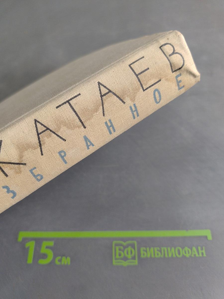 Избранное. Том 1. Волны черного моря. Книга первая. Белеет парус одинокий. Хуторок в степи