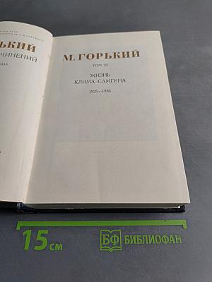 Жизнь Клима Самгина. Том 22