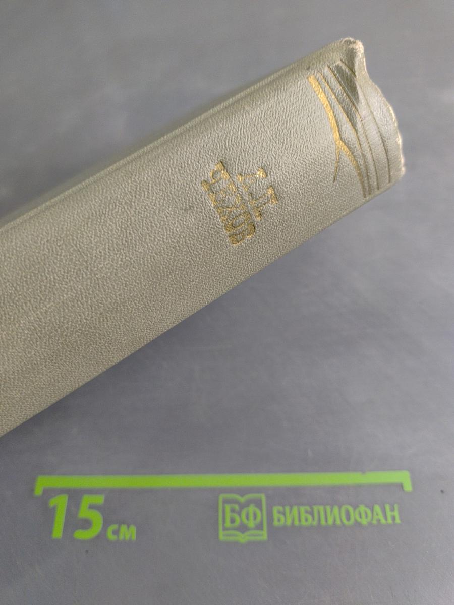 Собрание сочинений. Том одиннадцатый. Письма 1877-1892