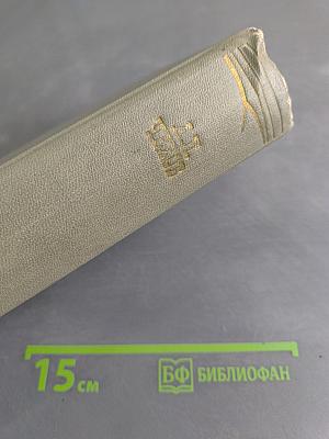 Собрание сочинений. Том одиннадцатый. Письма 1877-1892