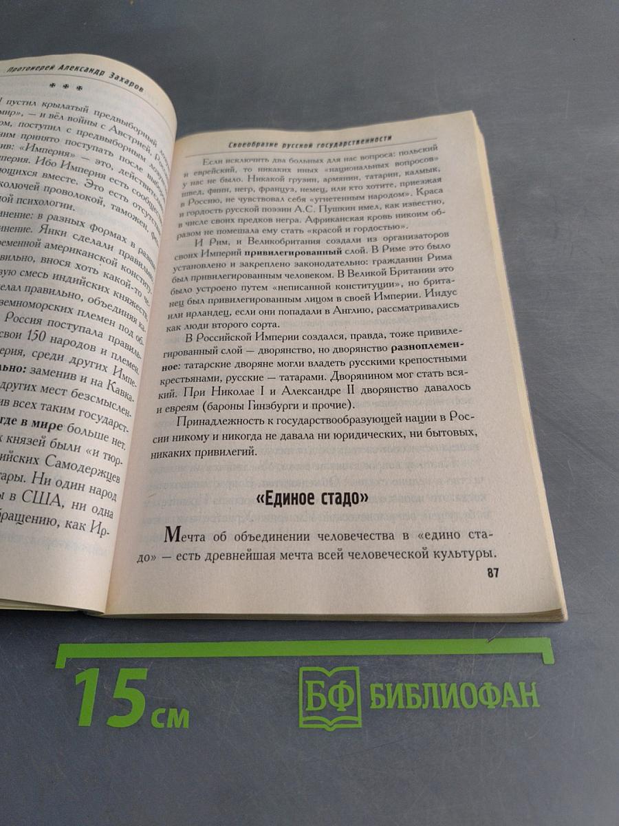 История русского народа глазами русского простолюдина