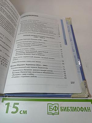 Литература. Учебник для 10 класса (базовый уровень). В двух частях. Часть 1