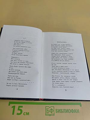 Голос долга. Стихи, песни, поэмы