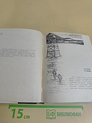 Пограничная полоса
