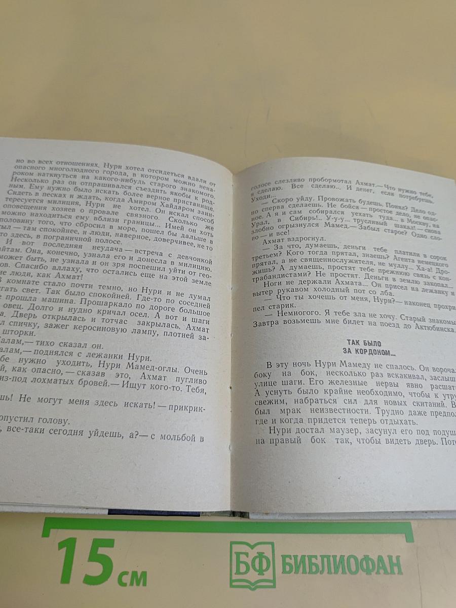 Пограничная полоса