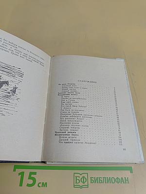 Пограничная полоса