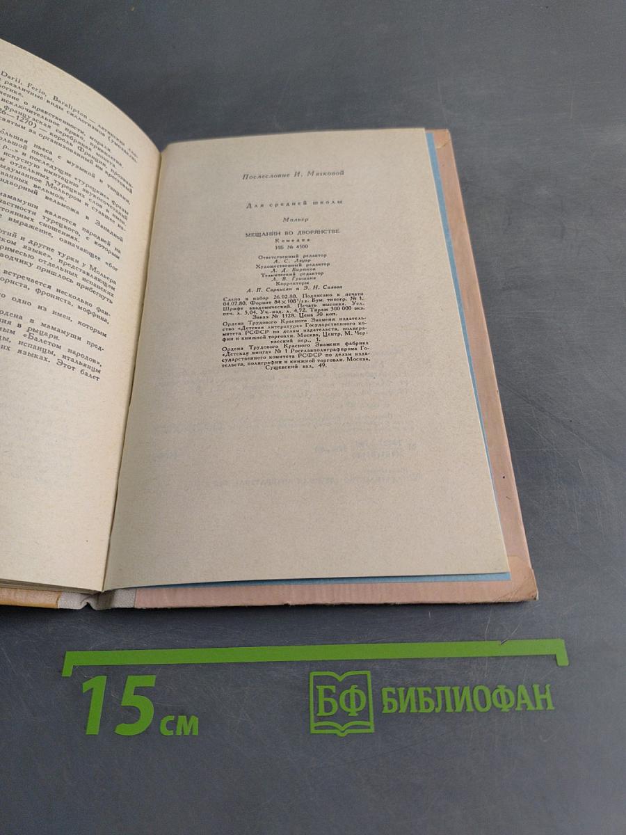 Мещанин во дворянстве