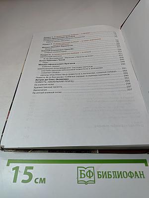 Литература. Учебник для 8 класса. Часть 2