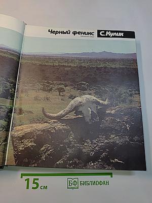Черный феникс. Африканские сафари