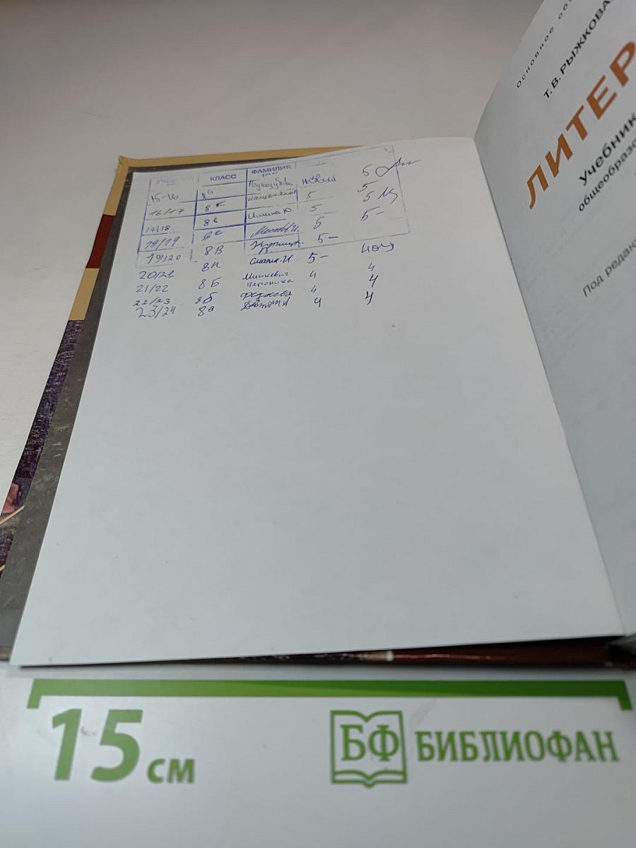 Литература. Учебник для 8 класса. Часть 2