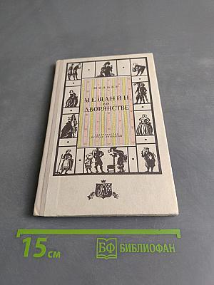 Мещанин во дворянстве
