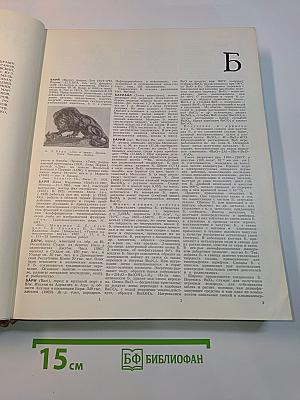 Большая Советская Энциклопедия. Том 3. Бари – Браслет