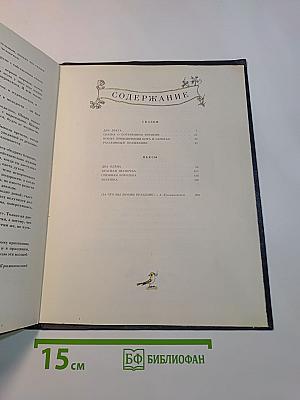 Волшебник