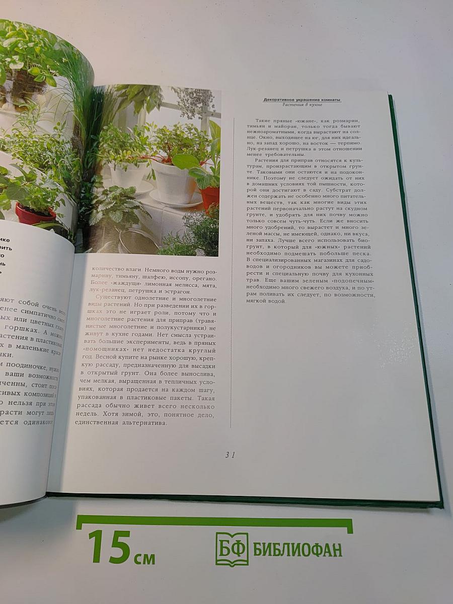 Портреты растений. Комнатные растения от А до Я