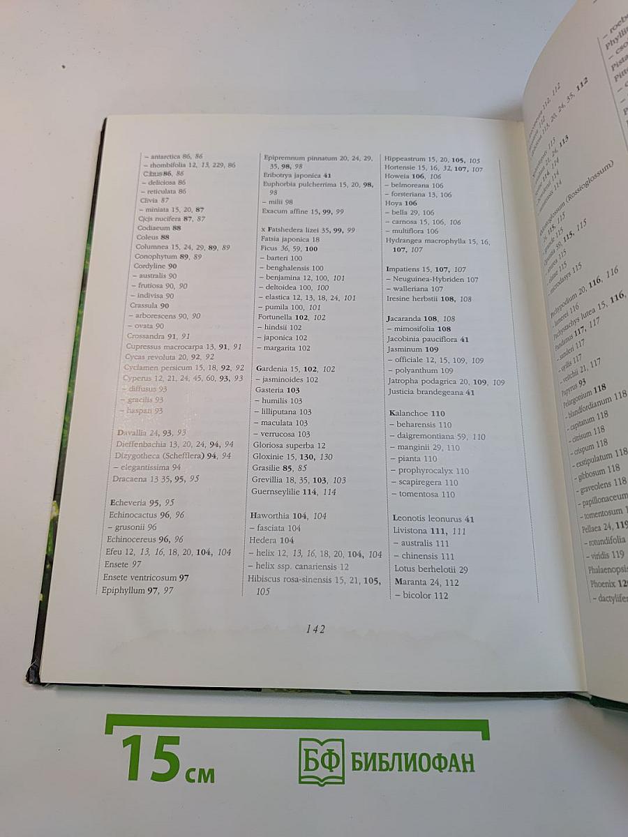 Портреты растений. Комнатные растения от А до Я
