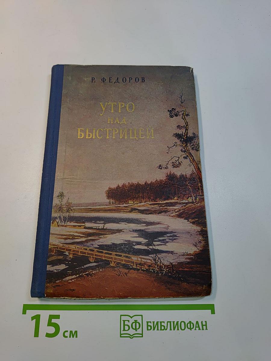 Утро над Быстрицей