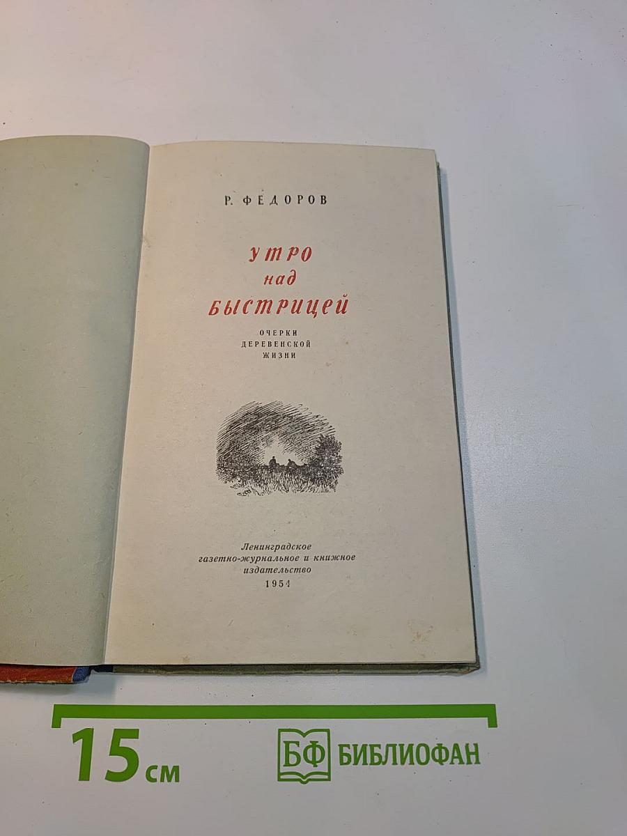 Утро над Быстрицей