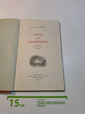 Утро над Быстрицей