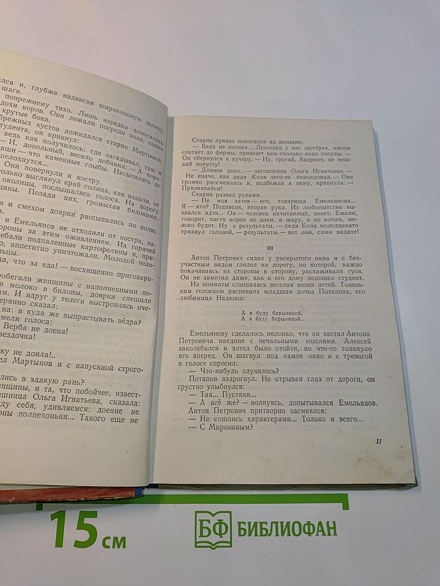 Утро над Быстрицей