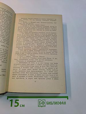 Россия молодая. Книга вторая