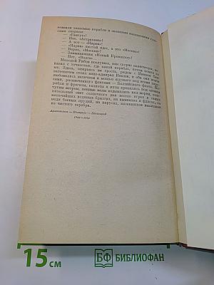 Россия молодая. Книга вторая