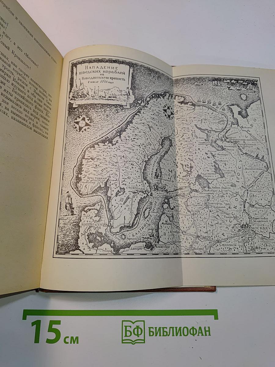 Россия молодая. Книга вторая