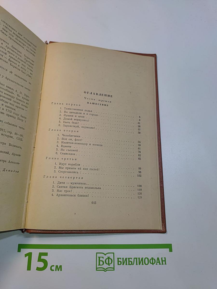 Россия молодая. Книга вторая