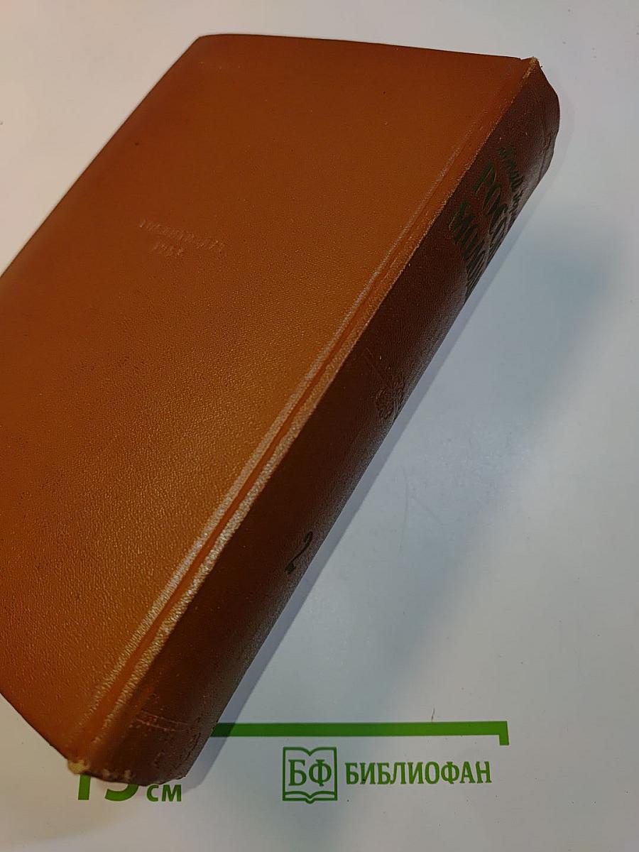Россия молодая. Книга вторая