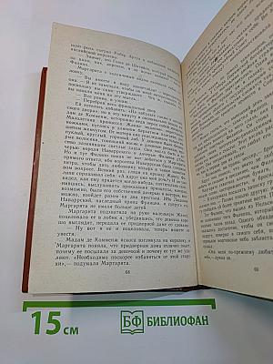 Железный король. Узница Шамбона