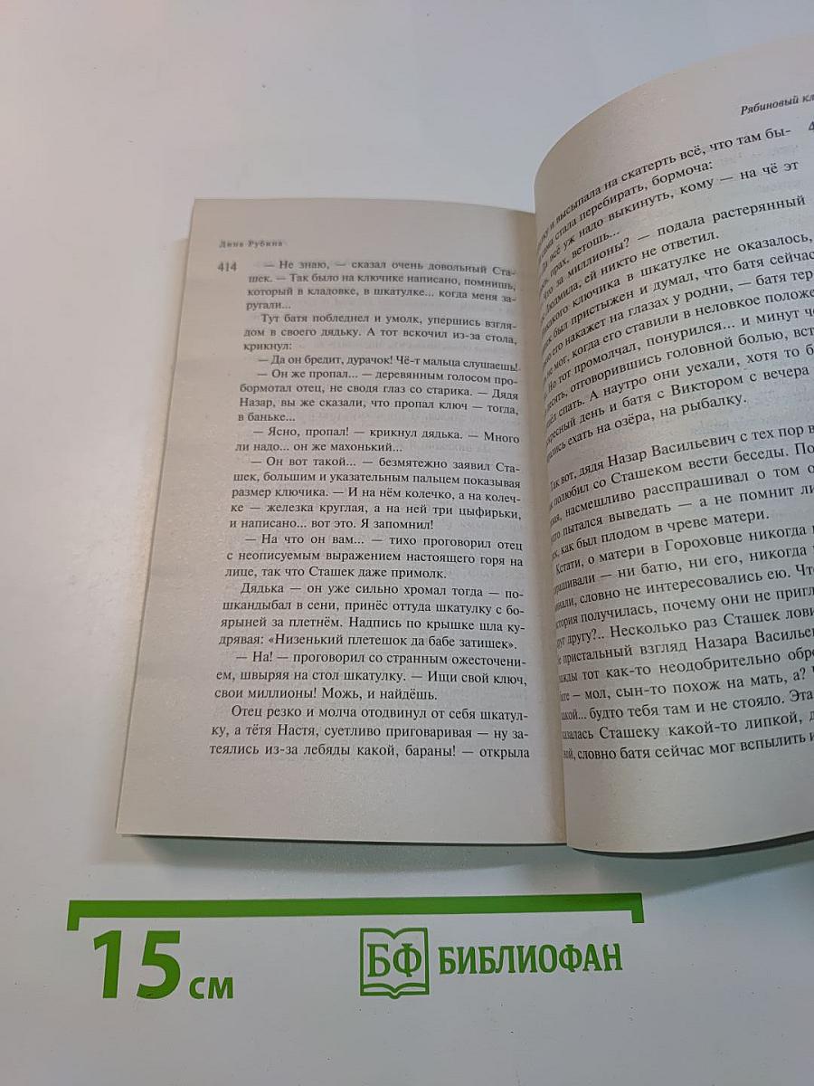 Наполеонов обоз. Книга 1. Рябиновый клин