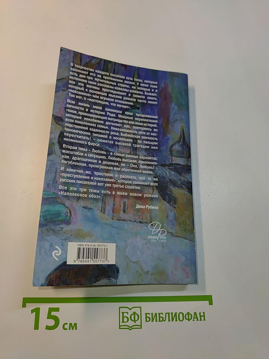 Наполеонов обоз. Книга 1. Рябиновый клин