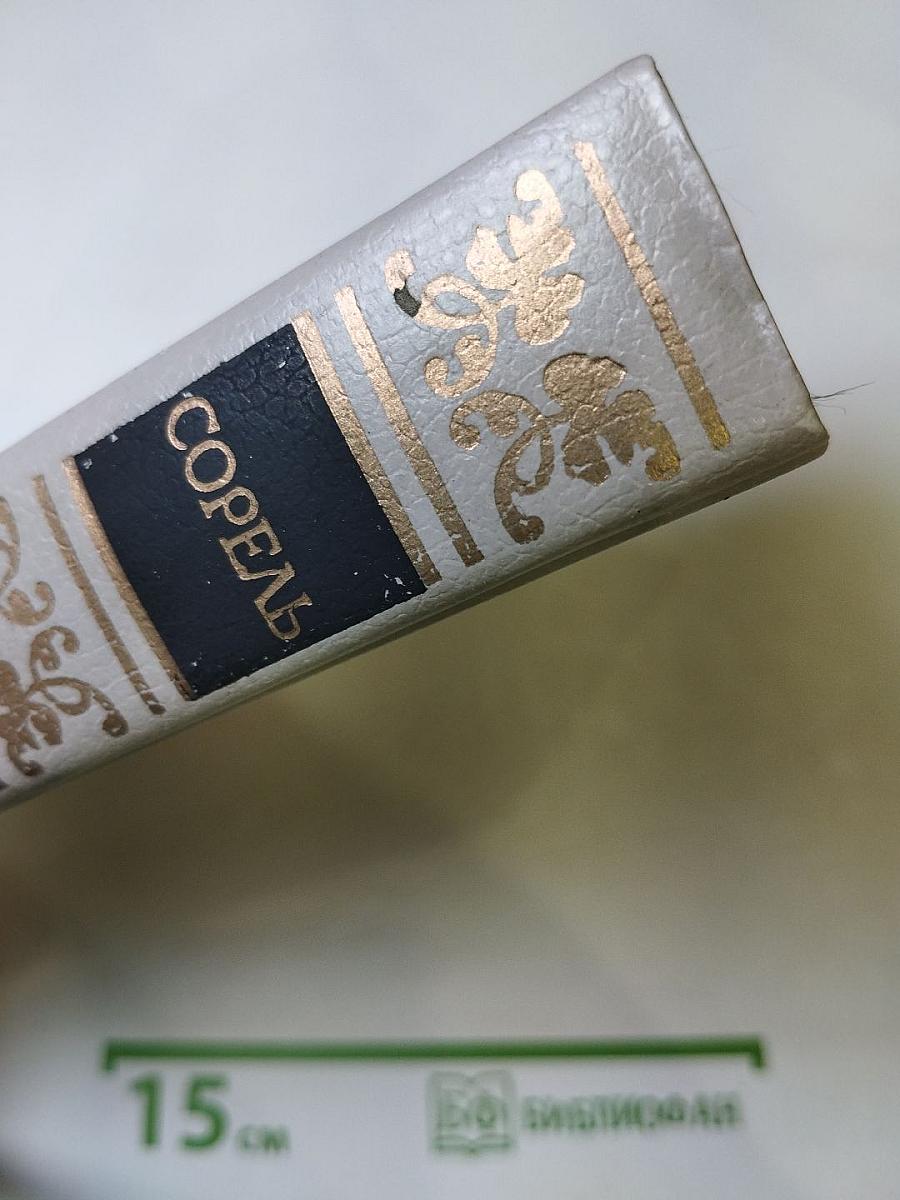 Правдивое комическое жизнеописание Франсиона