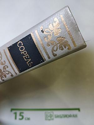 Правдивое комическое жизнеописание Франсиона