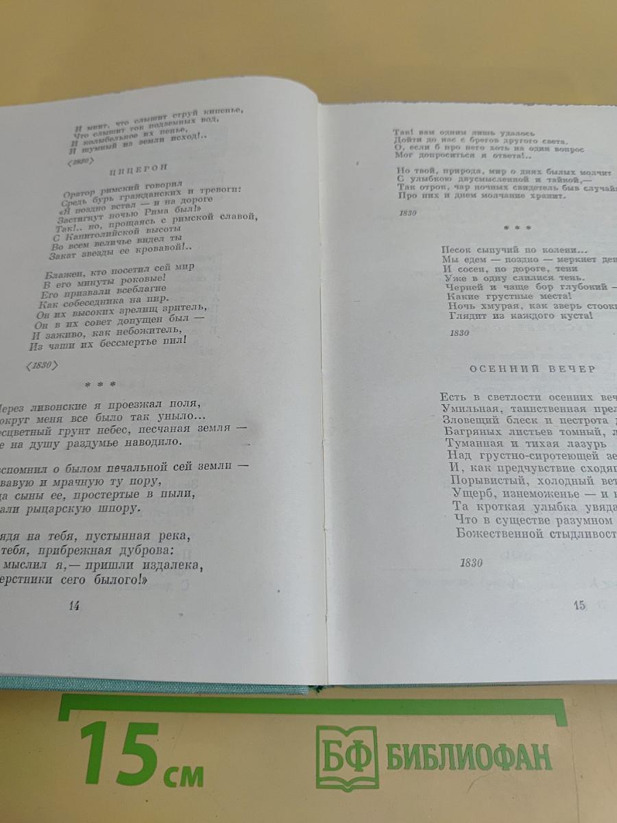 Русская поэзия XIX века. Том второй