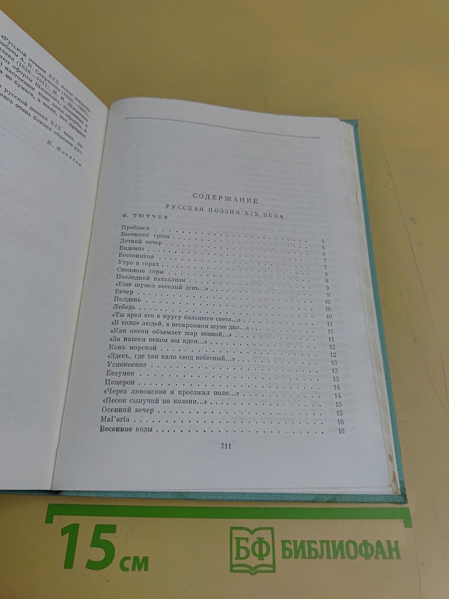 Русская поэзия XIX века. Том второй