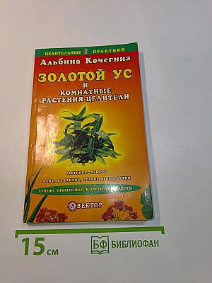 Золотой ус и комнатные растения-целители