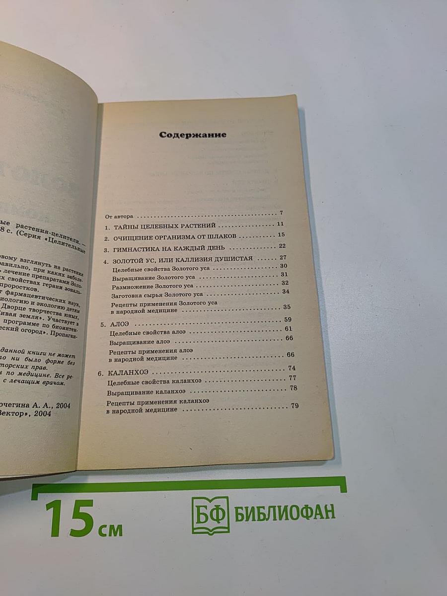 Золотой ус и комнатные растения-целители