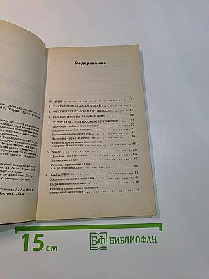 Золотой ус и комнатные растения-целители